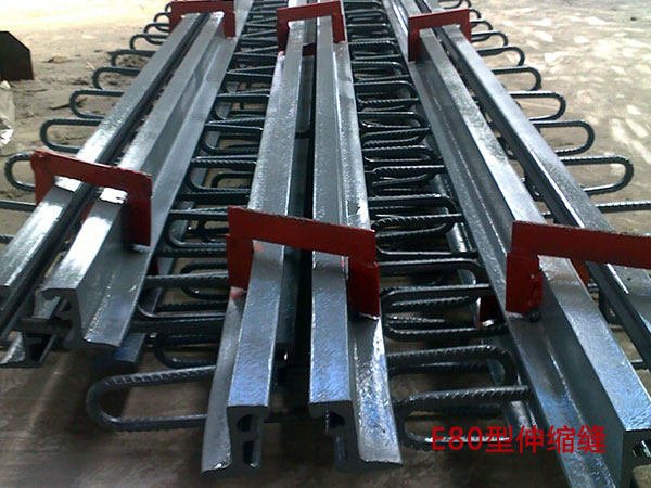 模數式伸縮裝置圖片3